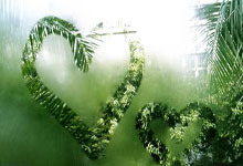 突发！杜兰特被交易至火箭！火箭管理层相当理智啊！