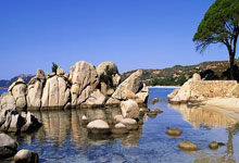 NBA传闻：太阳队内部人士称凯文·杜兰特交易“非常接近”