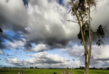 巴黎圣日耳曼俱乐部迎来胜利：王者归来，荣耀永铸