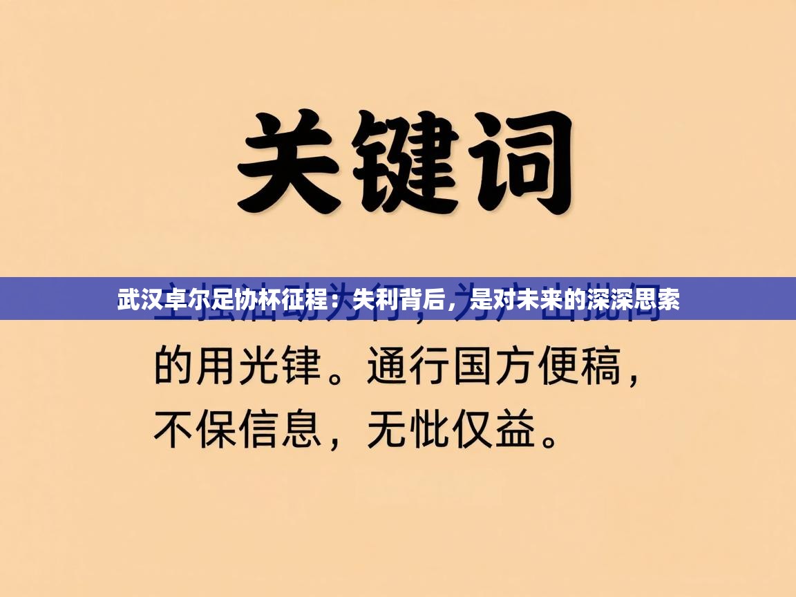 武汉卓尔足协杯征程：失利背后，是对未来的深深思索  第2张