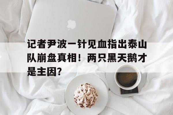 开运体育电脑版-记者尹波一针见血指出泰山队崩盘真相！两只黑天鹅才是主因？的简单介绍